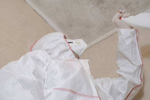 Best Emergency Mold Removal  in The Crossings, FL