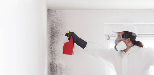 Best Mold Removal Specialists  in The Crossings, FL
