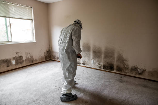 Best Emergency Mold Removal  in The Crossings, FL